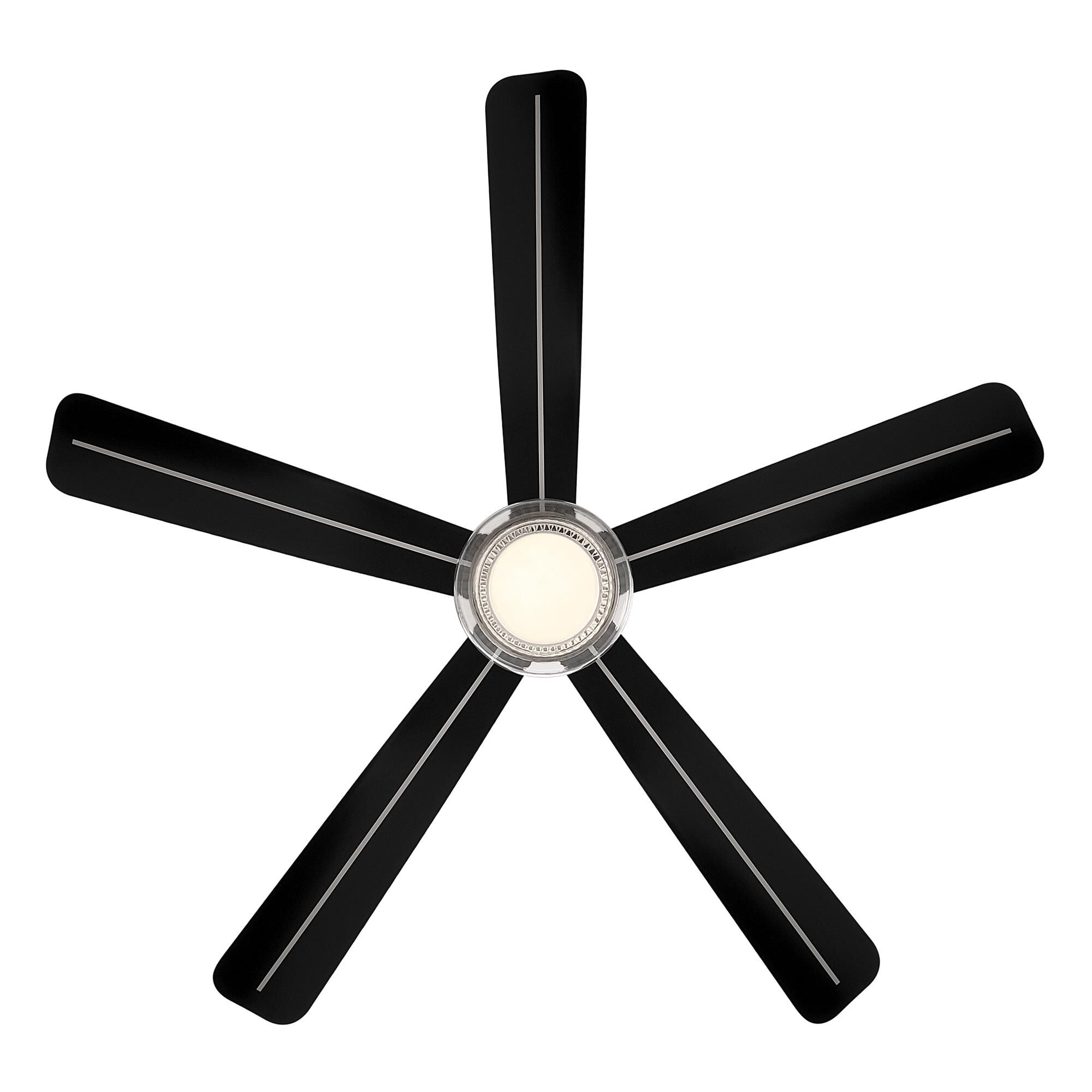 Shown in Brushed Nickel finish and Clear glass