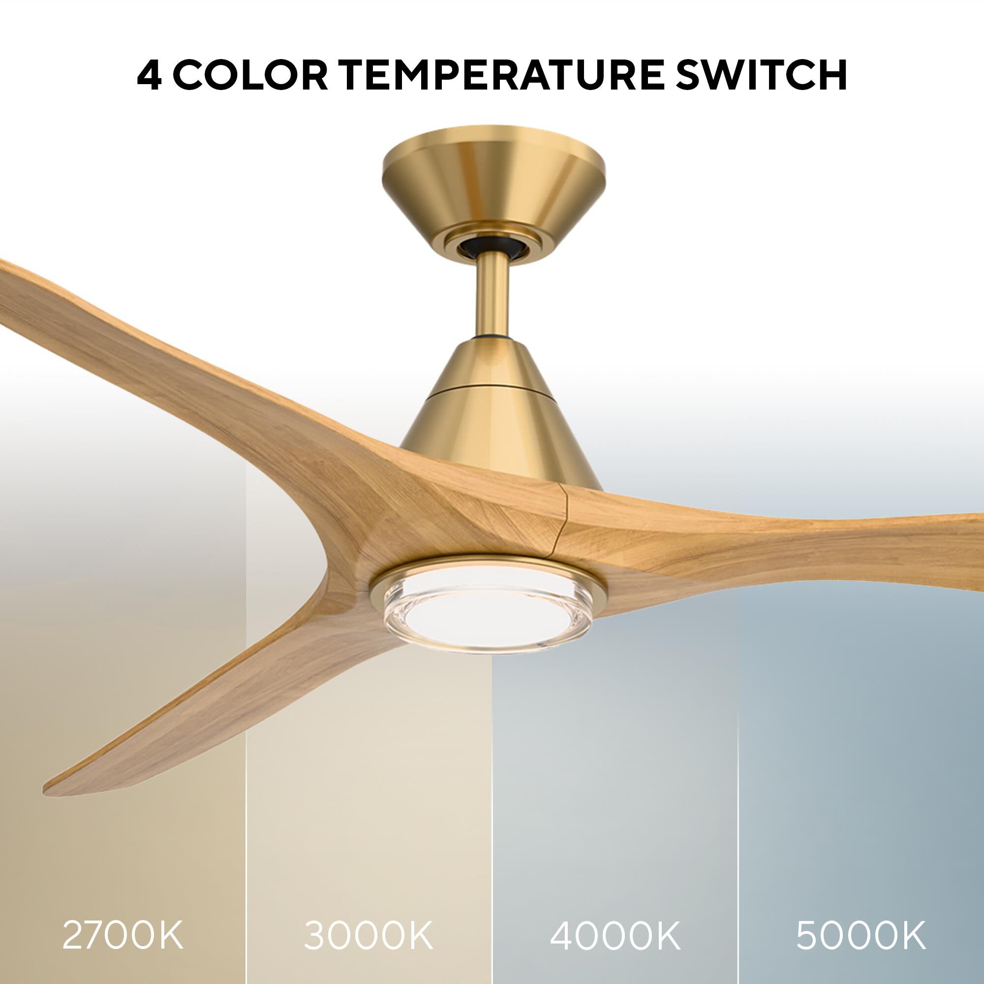 Carve 72 Inch Ceiling Fan with Light Kit by Modern Forms