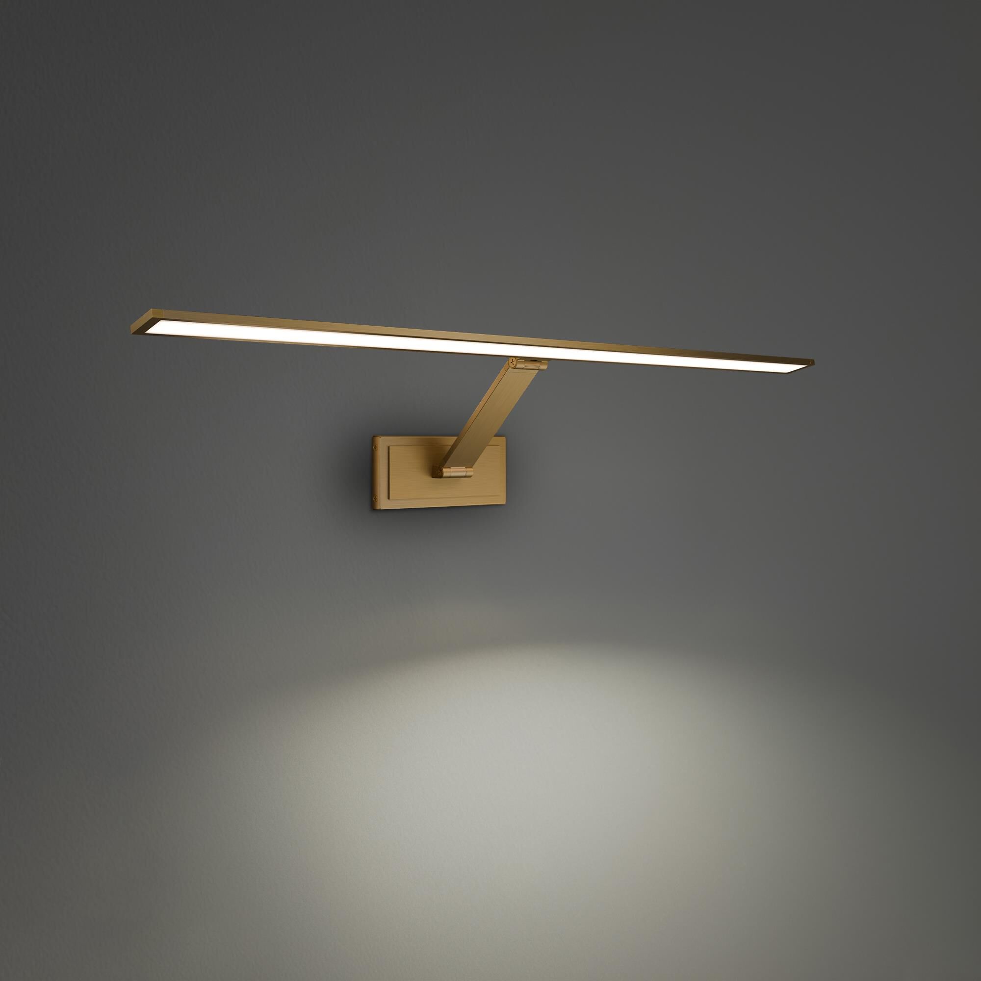 Diver 30 Inch Picture and Display Light by Modern Forms