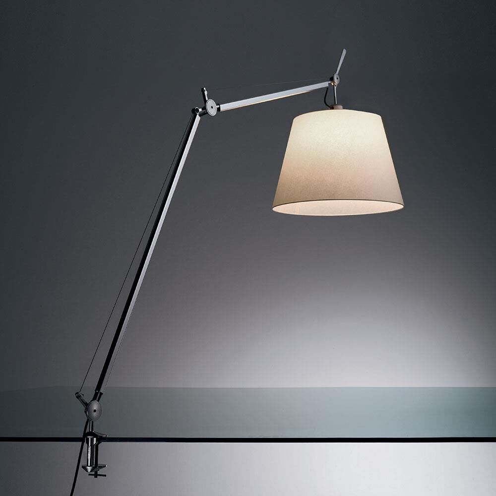 Michele De Lucchi, Giancarlo Fassina Tolomeo 46 Inch Desk Lamp by Artemide