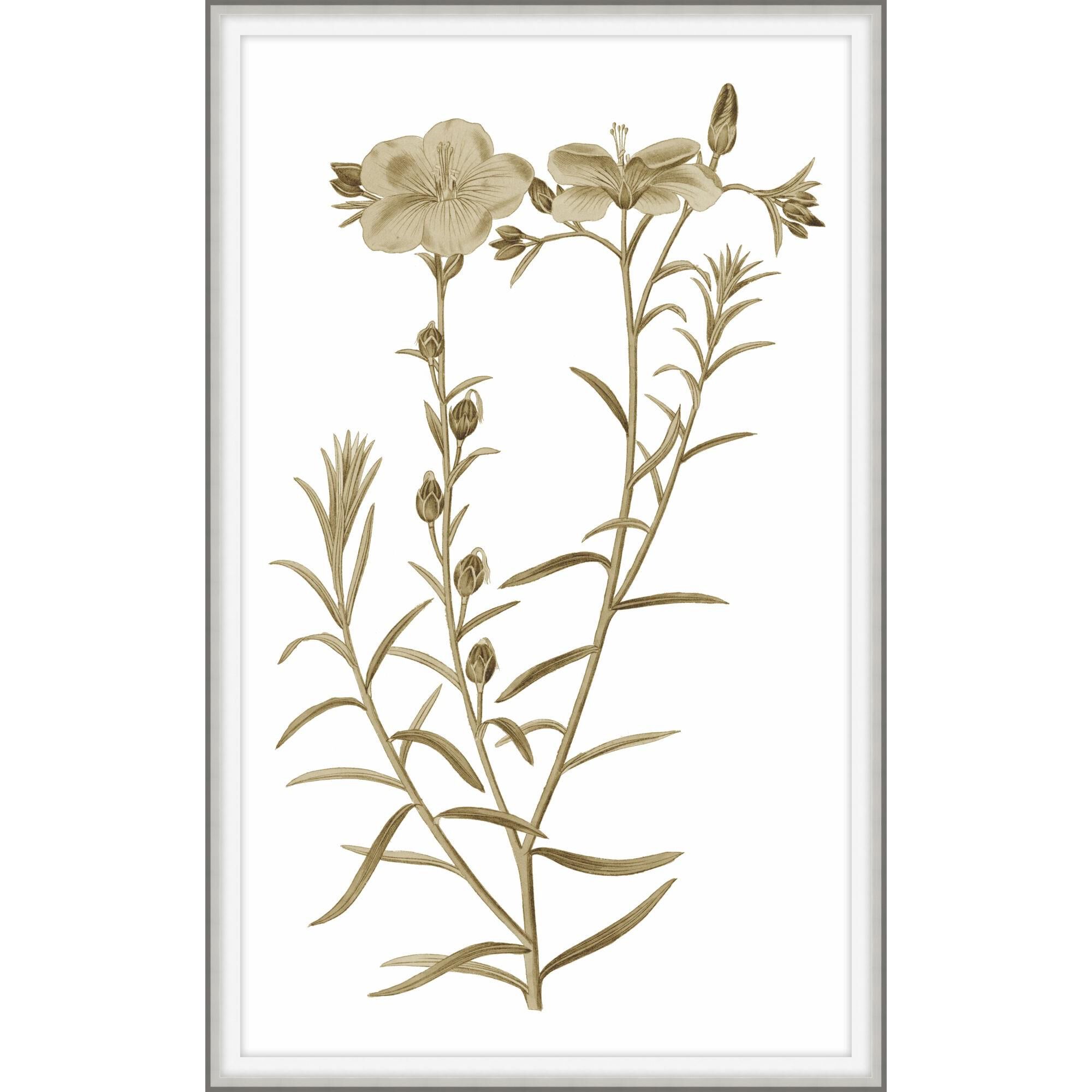 Sweet Preservation Print by LEVEL57