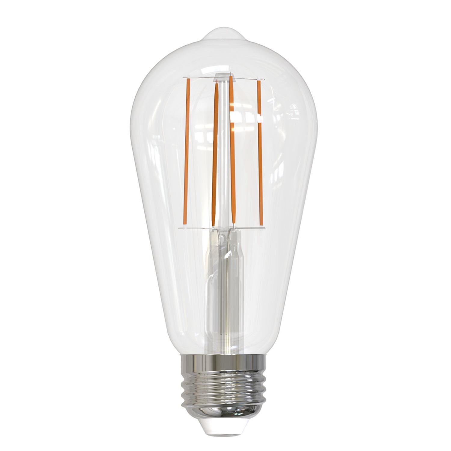 Dimmable 13 Watt 2700K ST18 LED Light Bulb by Bulbrite