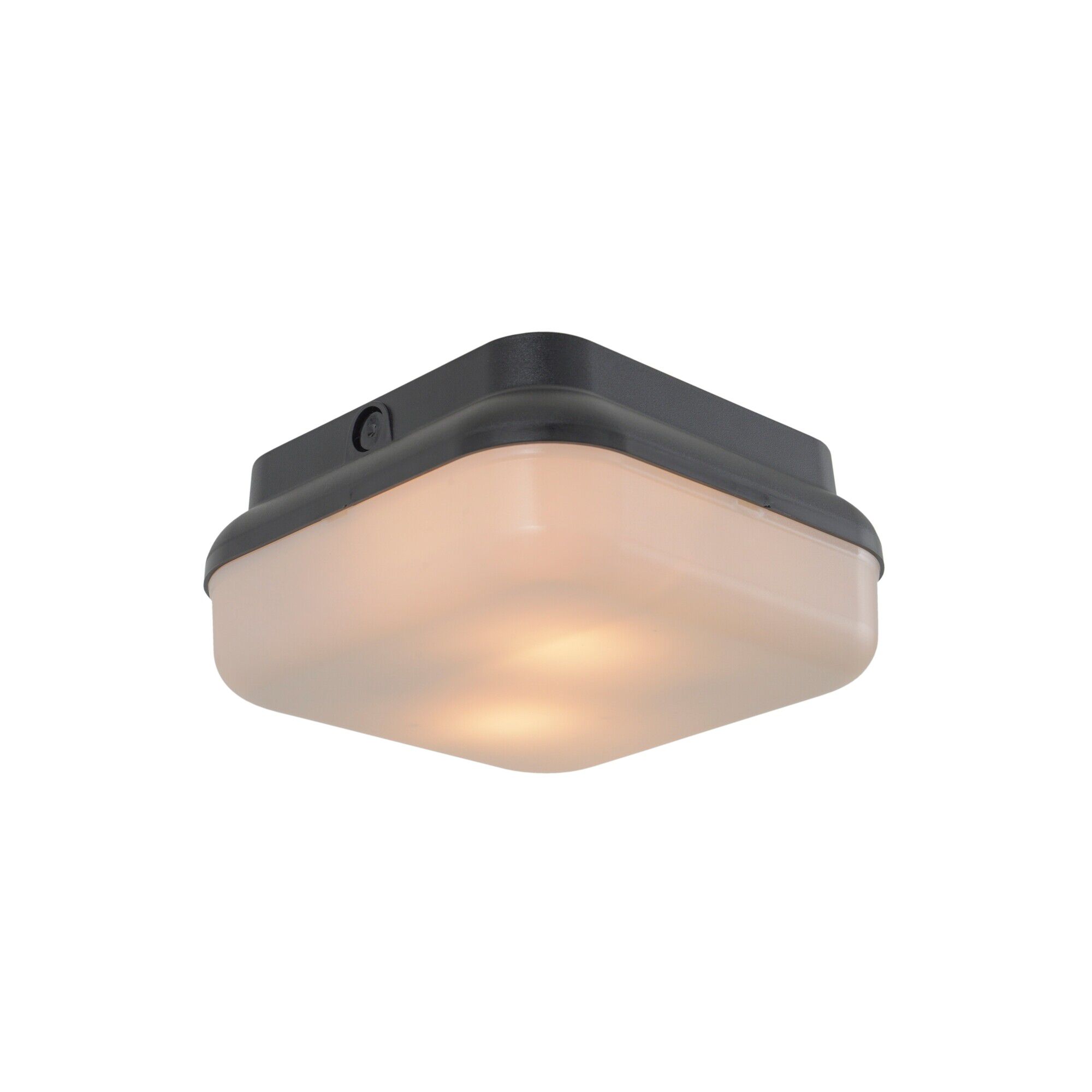 Resilience Lanterns 10 Inch Outdoor Flush Mount,