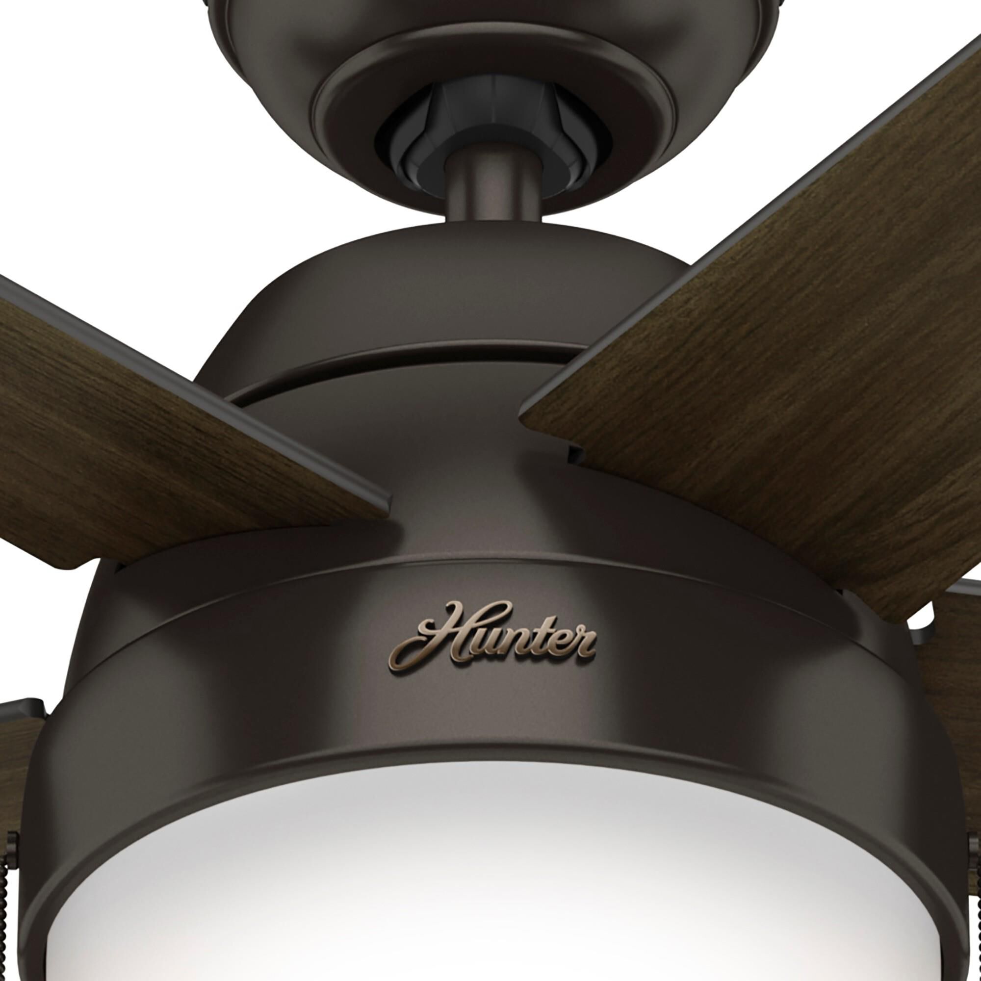 Anslee 52 Inch Ceiling Fan with Light Kit by Hunter Fan