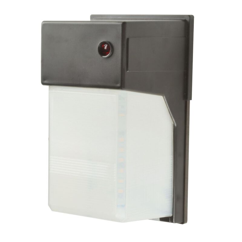 AFX Lighting Security 10 Inch Tall LED Outdoor Wall Light