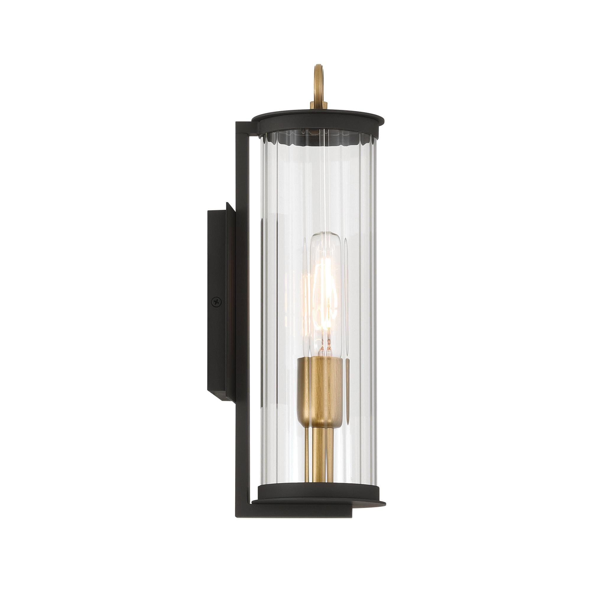 Cara 14 Inch Outdoor Wall Light by Minka Lavery
