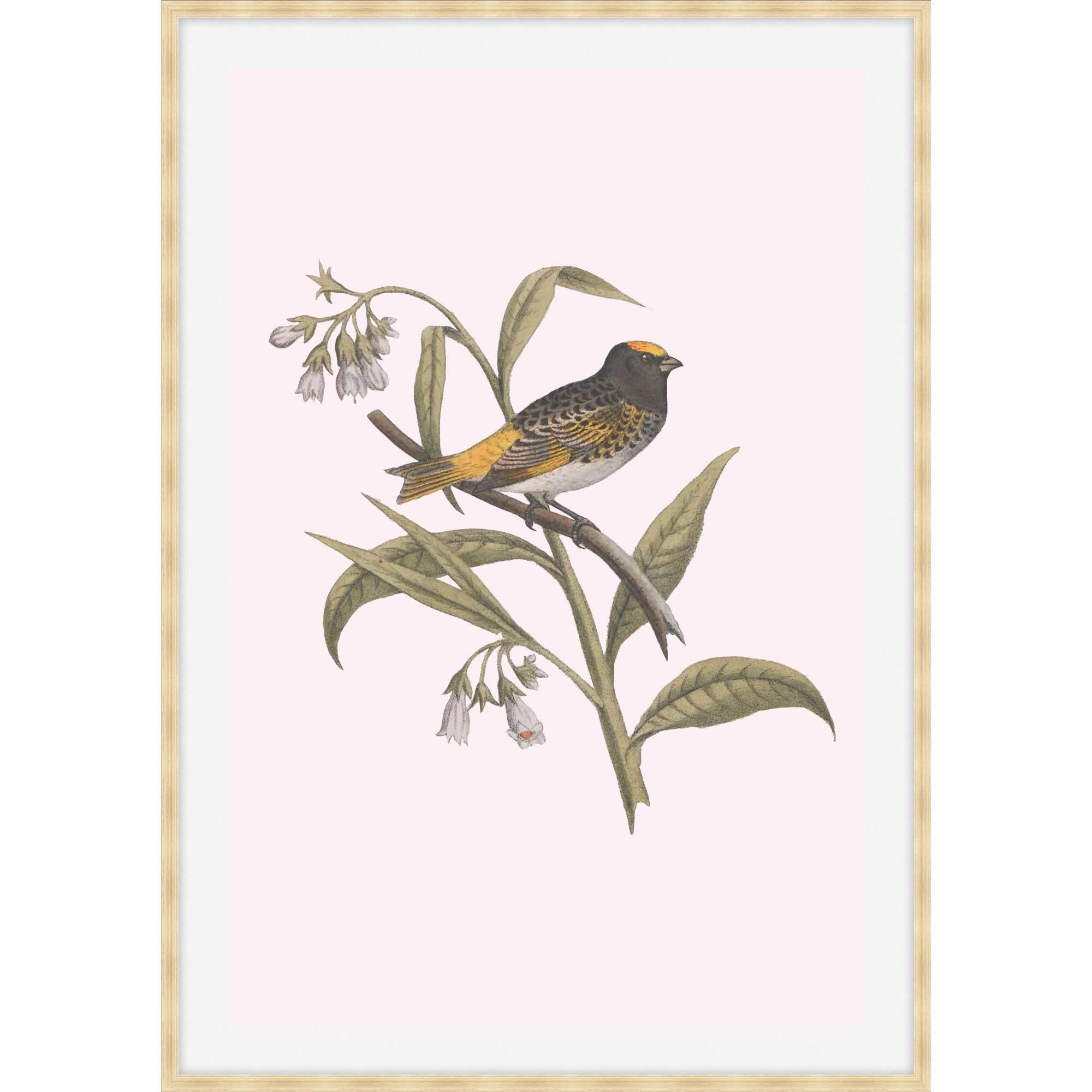 Nesting Navigators Pink Print by LEVEL57