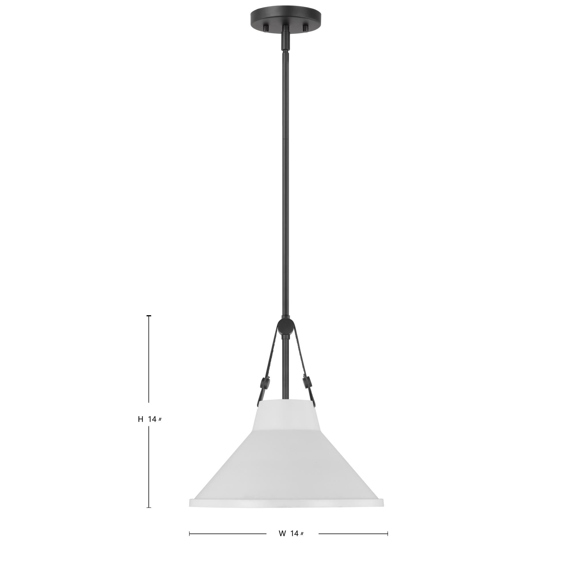 Nuvo Lighting Zelda 14 Inch Large Pendant
