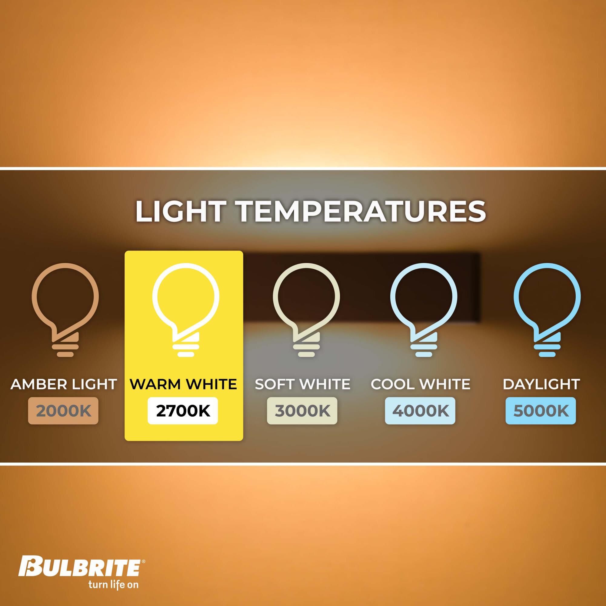 75 Watt 2700K T8 Incandescent Light Bulb by Bulbrite