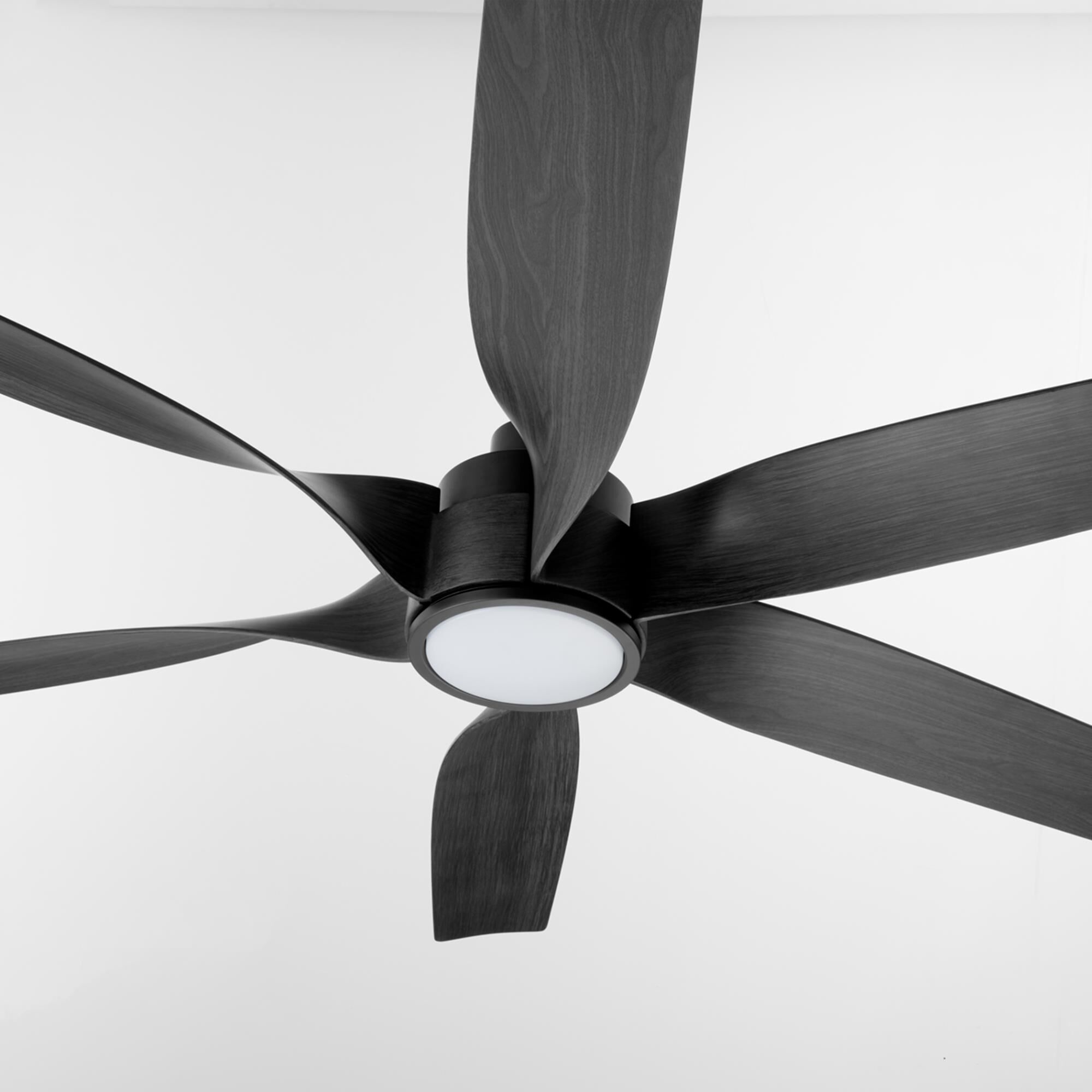 Kimbo 60 Inch Ceiling Fan by Quorum International