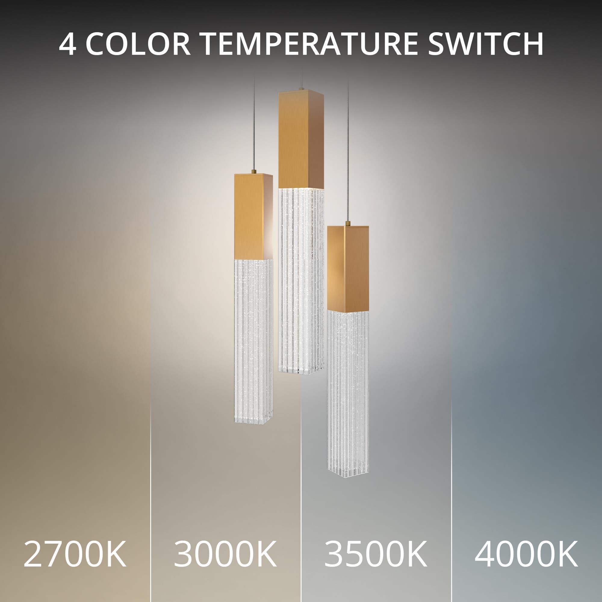 Cinema 12 Inch Multi Light Pendant by Modern Forms