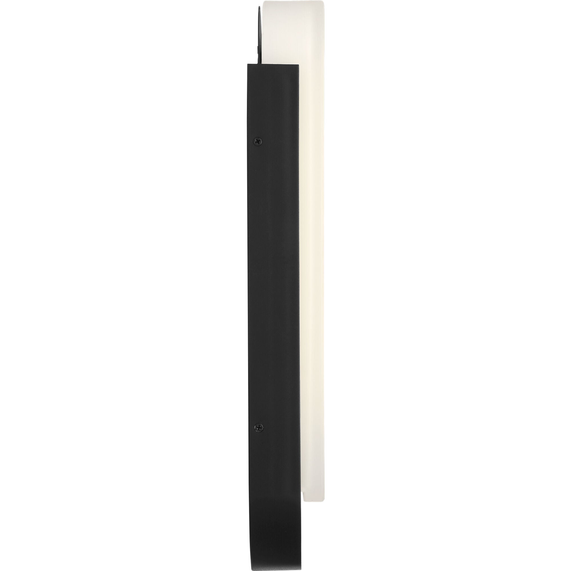 Dante 18 Inch Outdoor Wall Light,