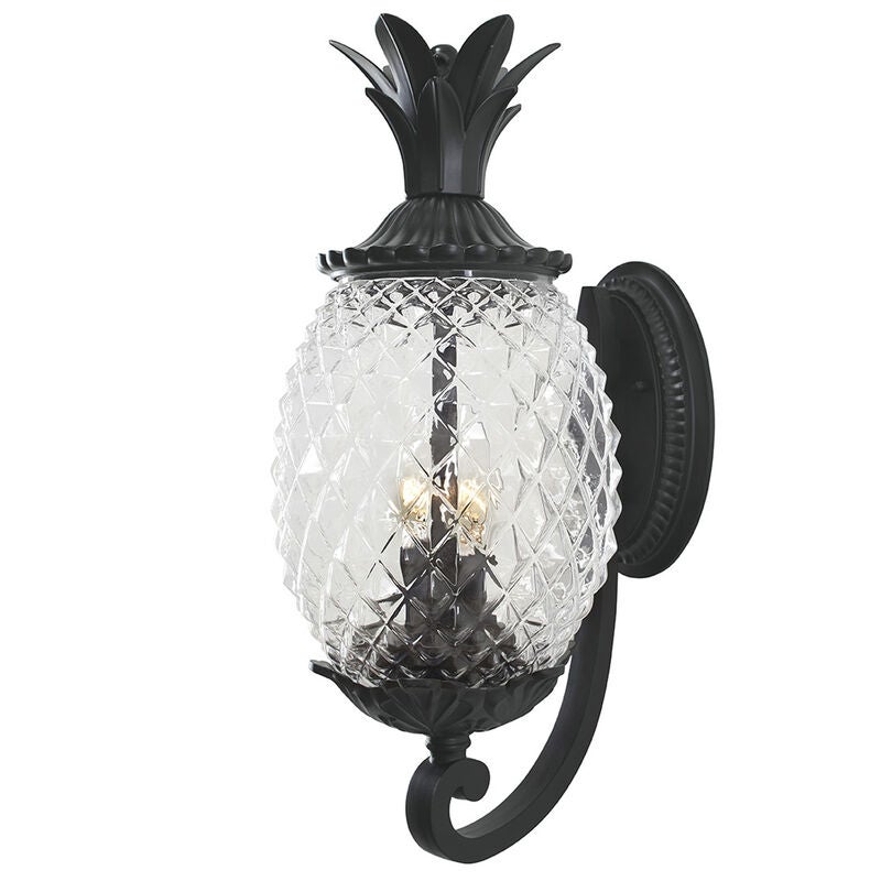 Lanai 18 Inch Tall 2 Light Outdoor Wall Light by Acclaim Lighting