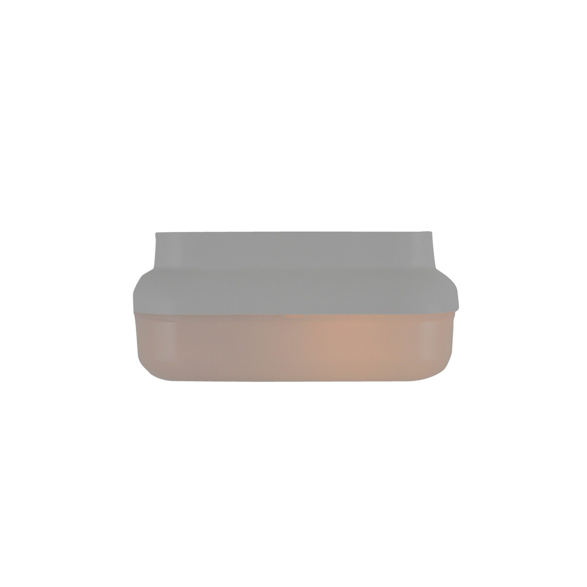 Resilience Lanterns 10 Inch Outdoor Flush Mount,