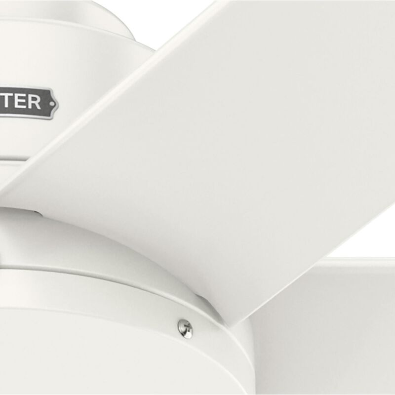Kennicott 60 Inch Ceiling Fan by Hunter Fan