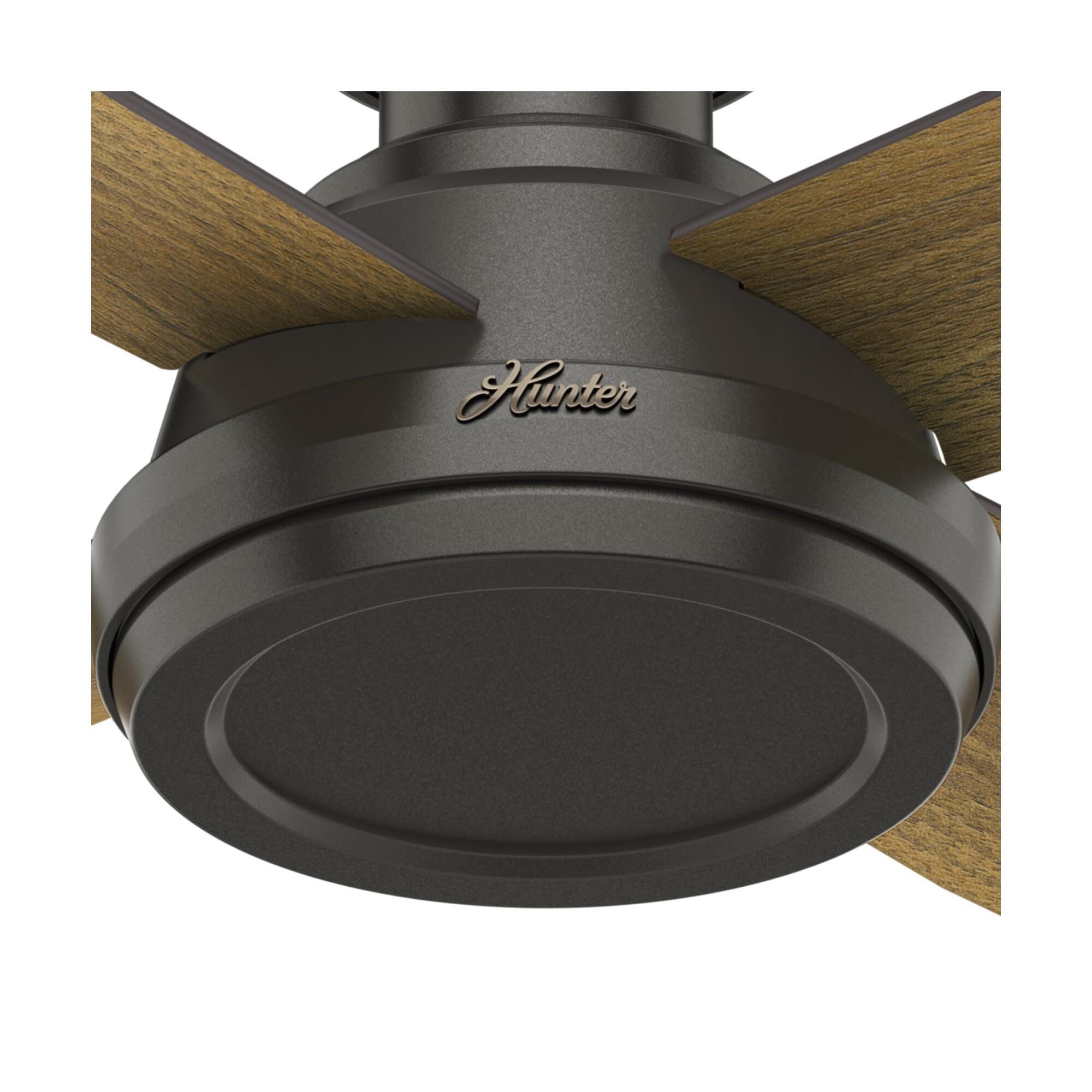 Dempsey 52 Inch Flush Mount Fan by Hunter Fan