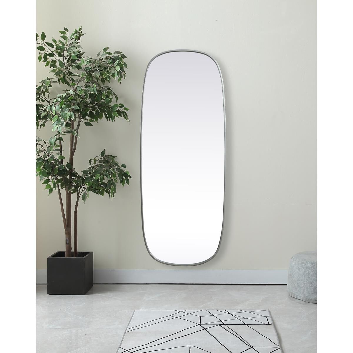 Brynn 60 Inch Decorative Mirror by Elegant Decor