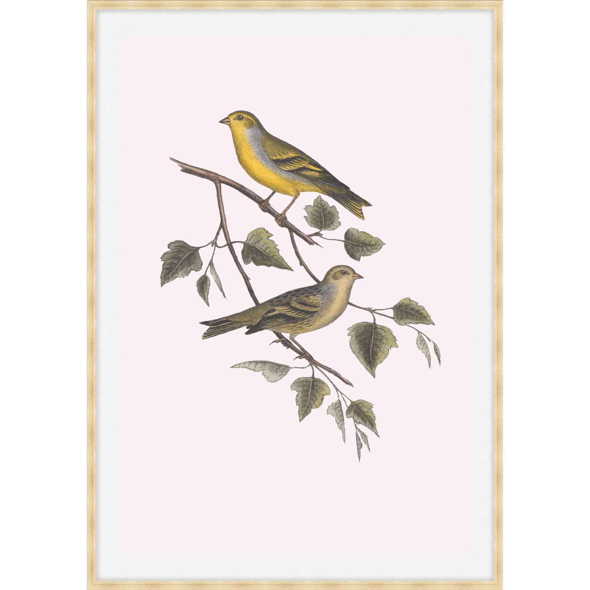 Nesting Navigators Pink Print by LEVEL57