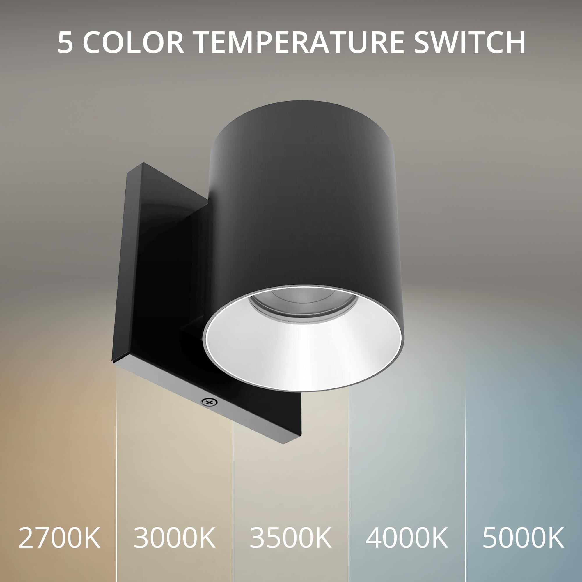 Zoron 4 Inch Outdoor Wall Light by WAC Lighting