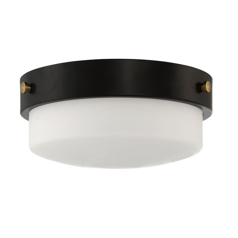 Oak Street 11 Inch 2 Light Flush Mount by Craftmade