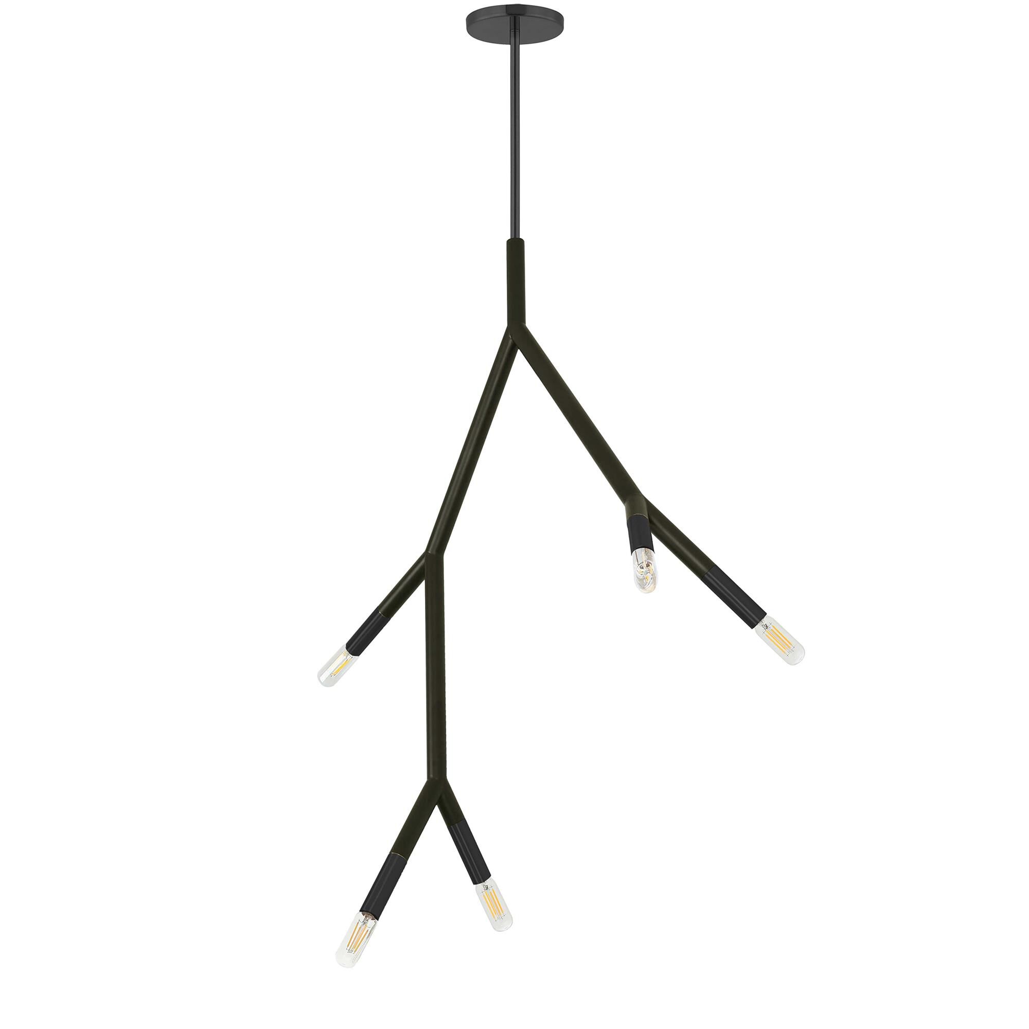 Morgan 21 Inch 5 Light Multi Light Pendant by Dainolite