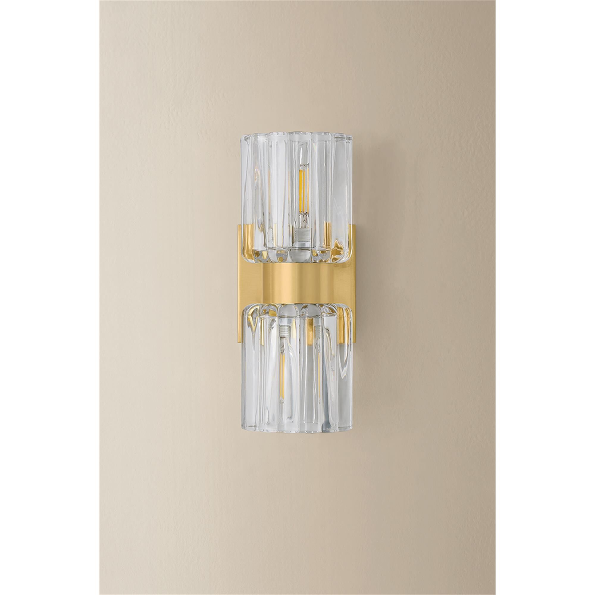 Danae 10 Inch 2 Light Bath Vanity Light,