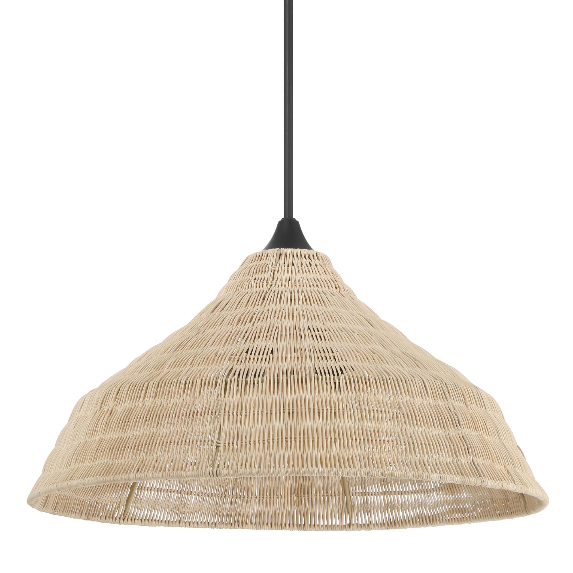 Agoura 24 Inch Large Pendant by Hunter Fan