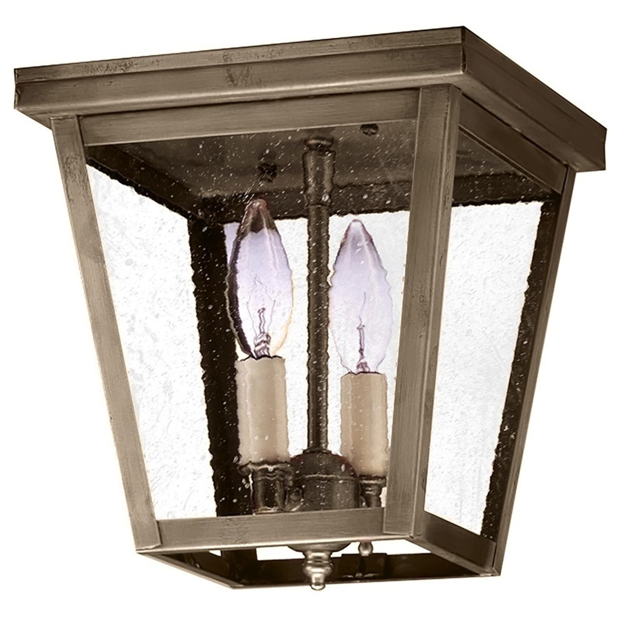 Williams 8 Inch 2 Light Outdoor Flush Mount,