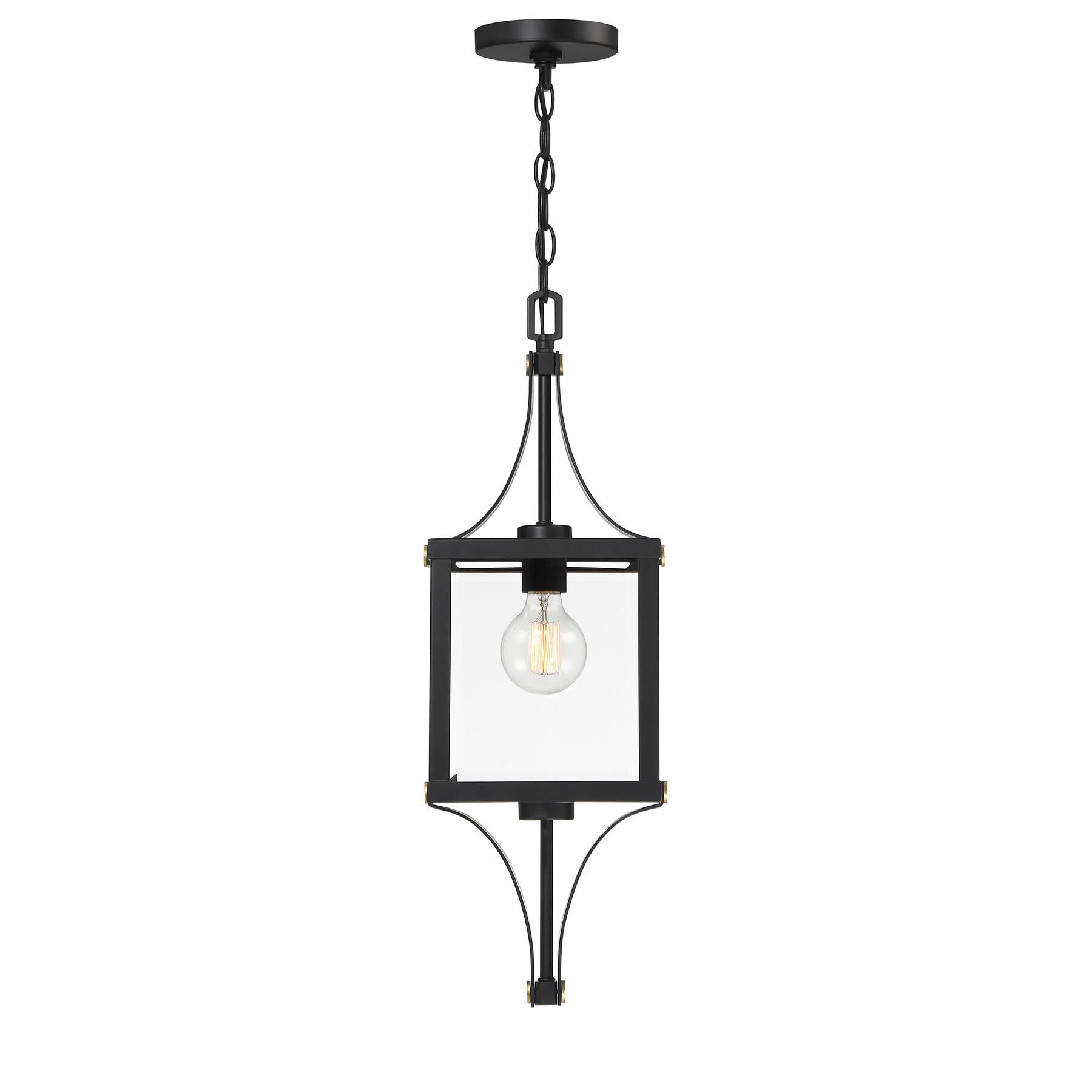 Raeburn 9 Inch Outdoor Hanging Lantern by Savoy House