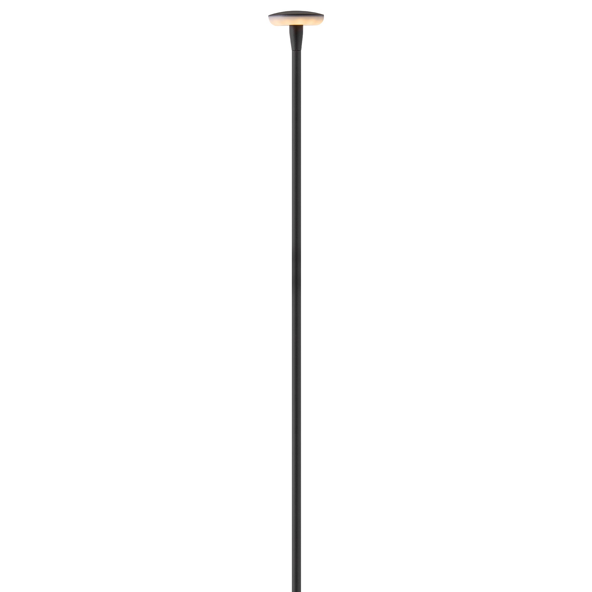 Calie 24 Inch Decorative Pathway Light,