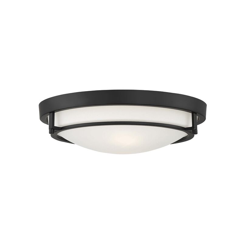 13 Inch 2 Light LED Flush Mount by Meridian Lighting