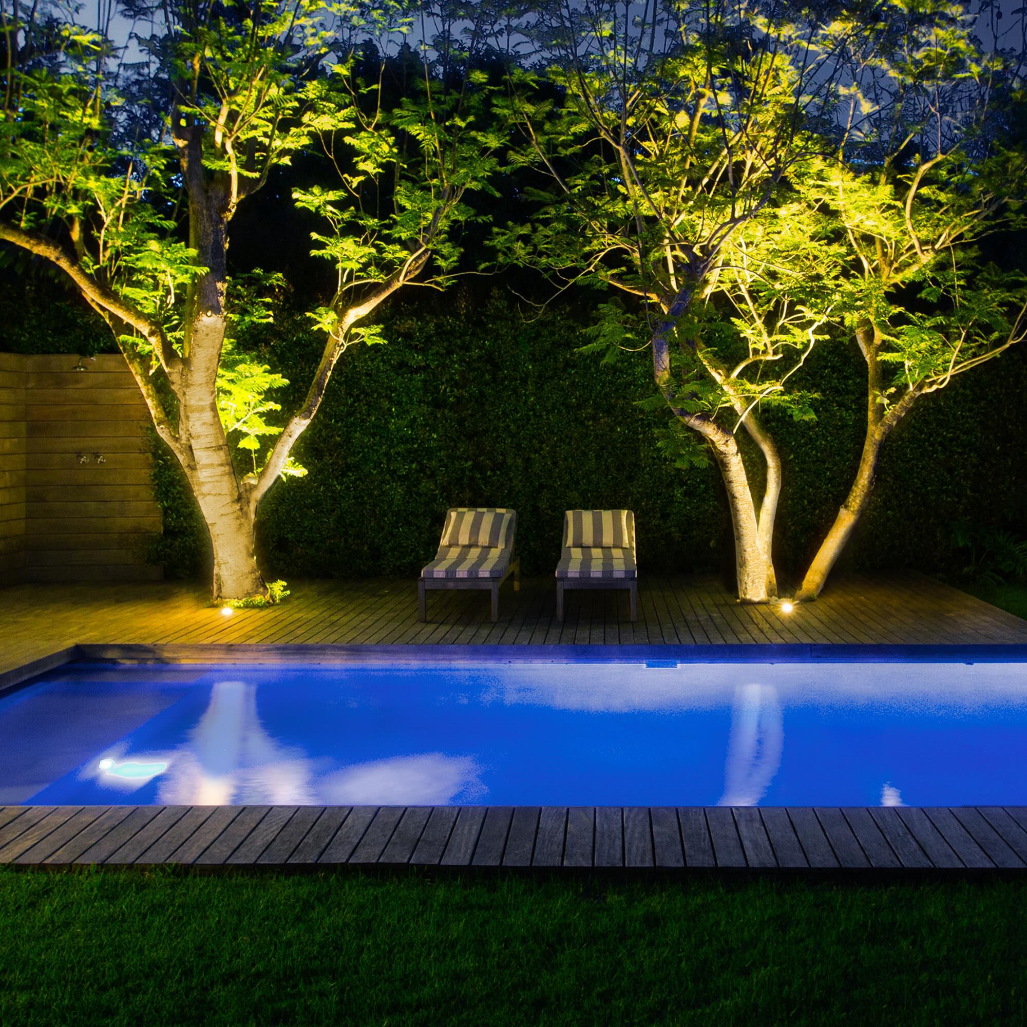 Grand 6 Inch Landscape Specialty Light by WAC Lighting