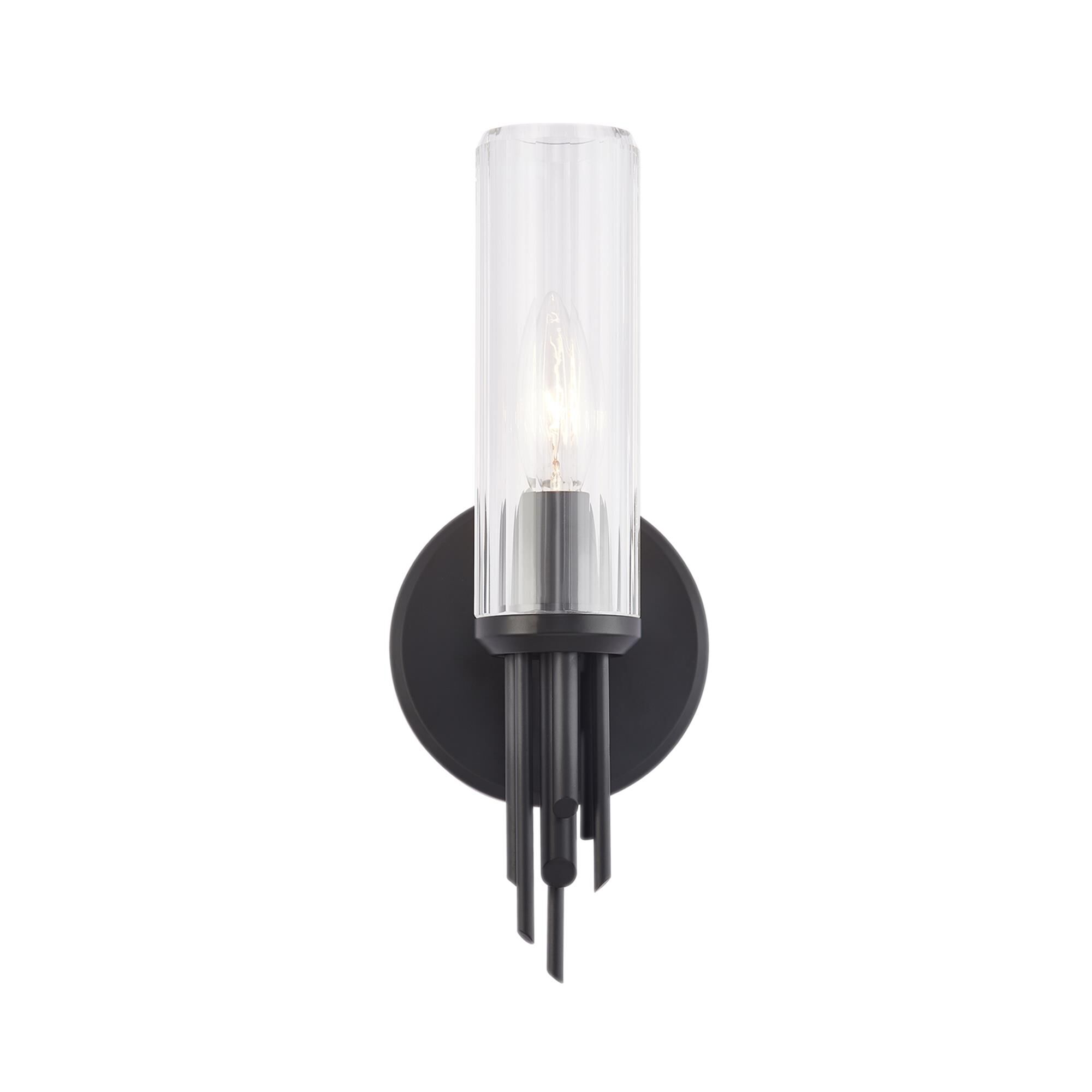 Elisa Carlucci Torres 12 Inch Wall Sconce,