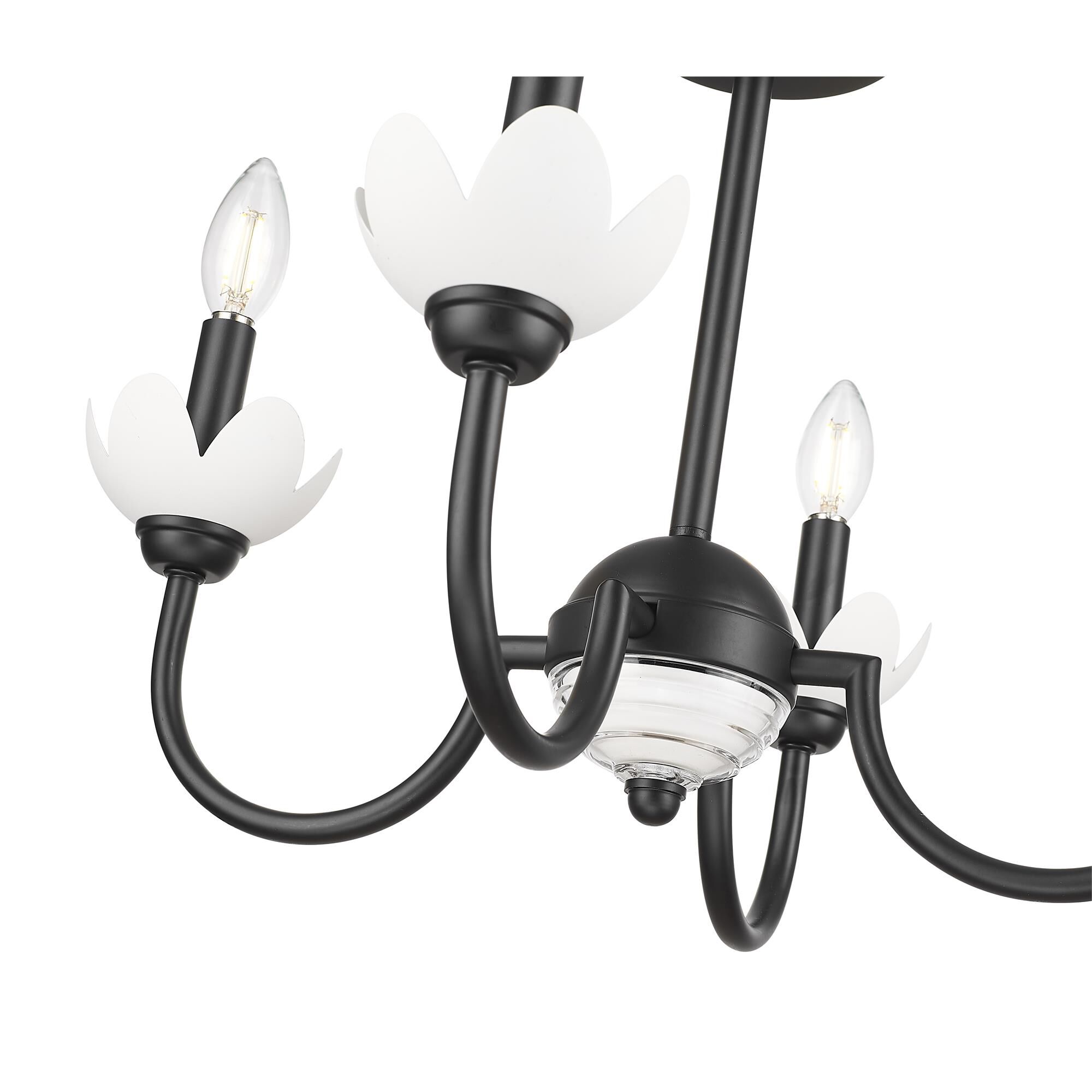 Shown in Matte Black finish and Clear Ribbed glass and Clear Ribbed shade
