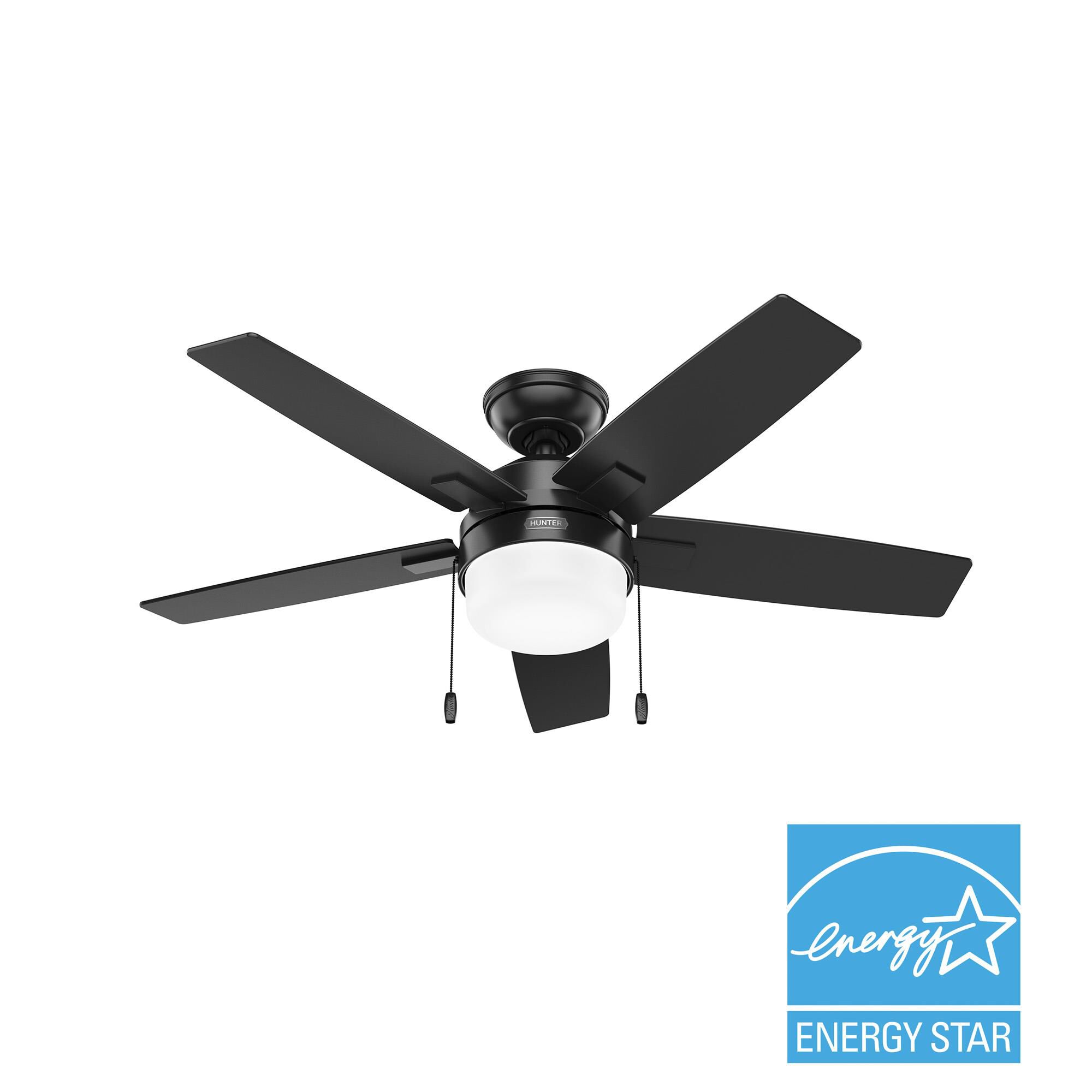 Anisten 44 Inch Ceiling Fan by Hunter Fan