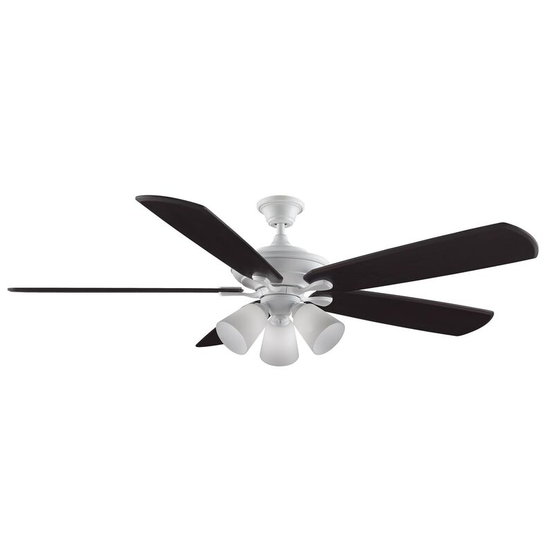 9 Inch 4 Light Fan Light Kit by Fanimation