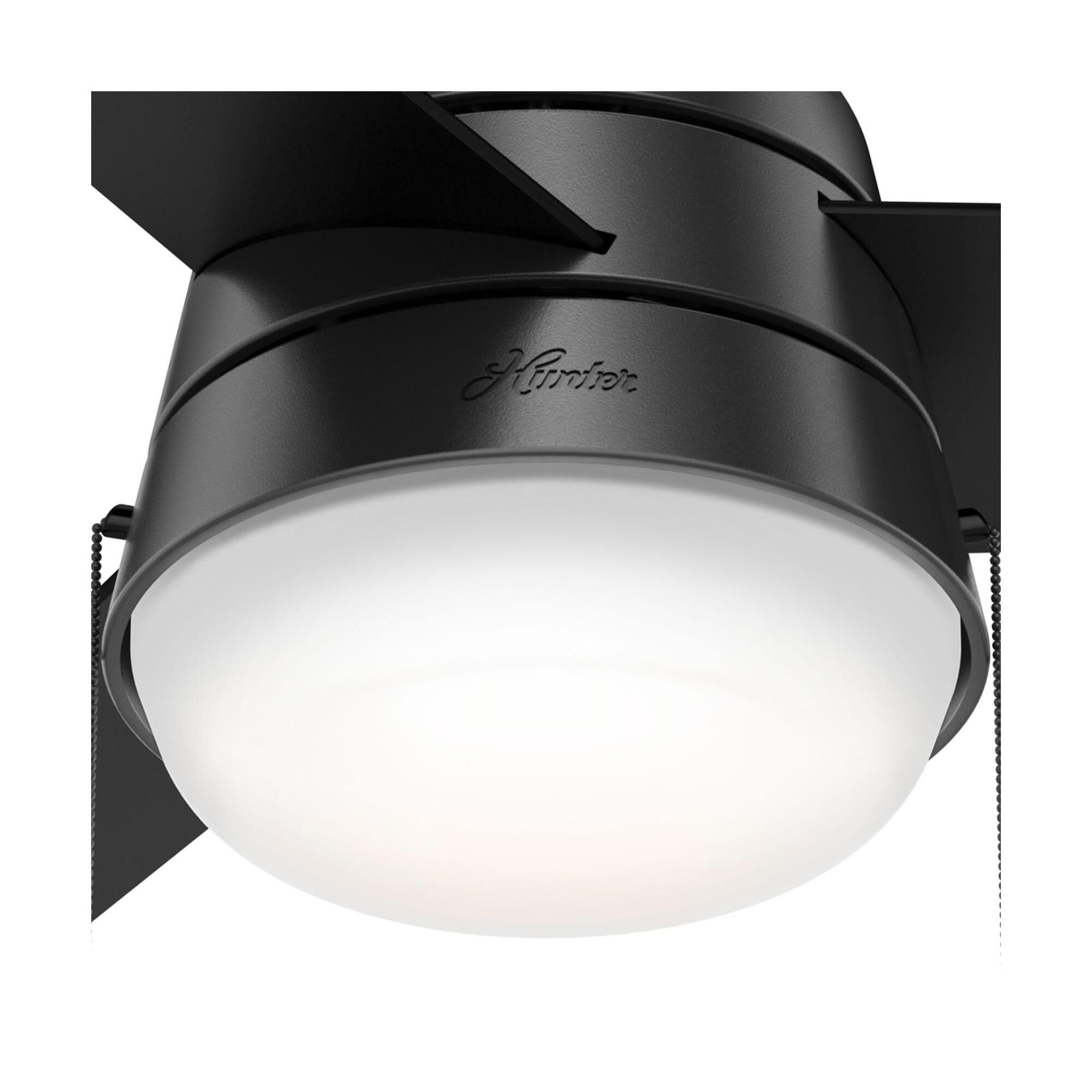 Aker 36 Inch Ceiling Fan with Light Kit by Hunter Fan