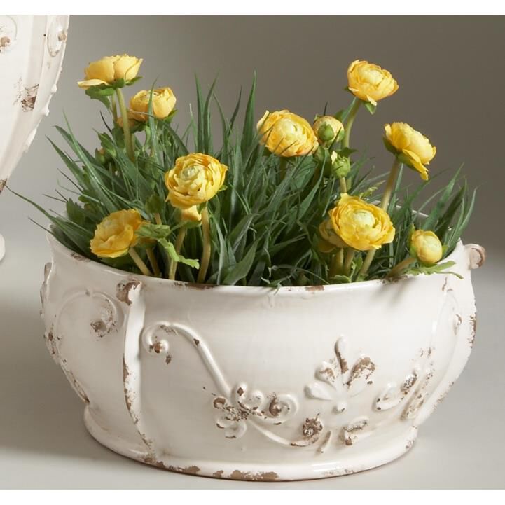 Monaco Bowl by Chelsea House