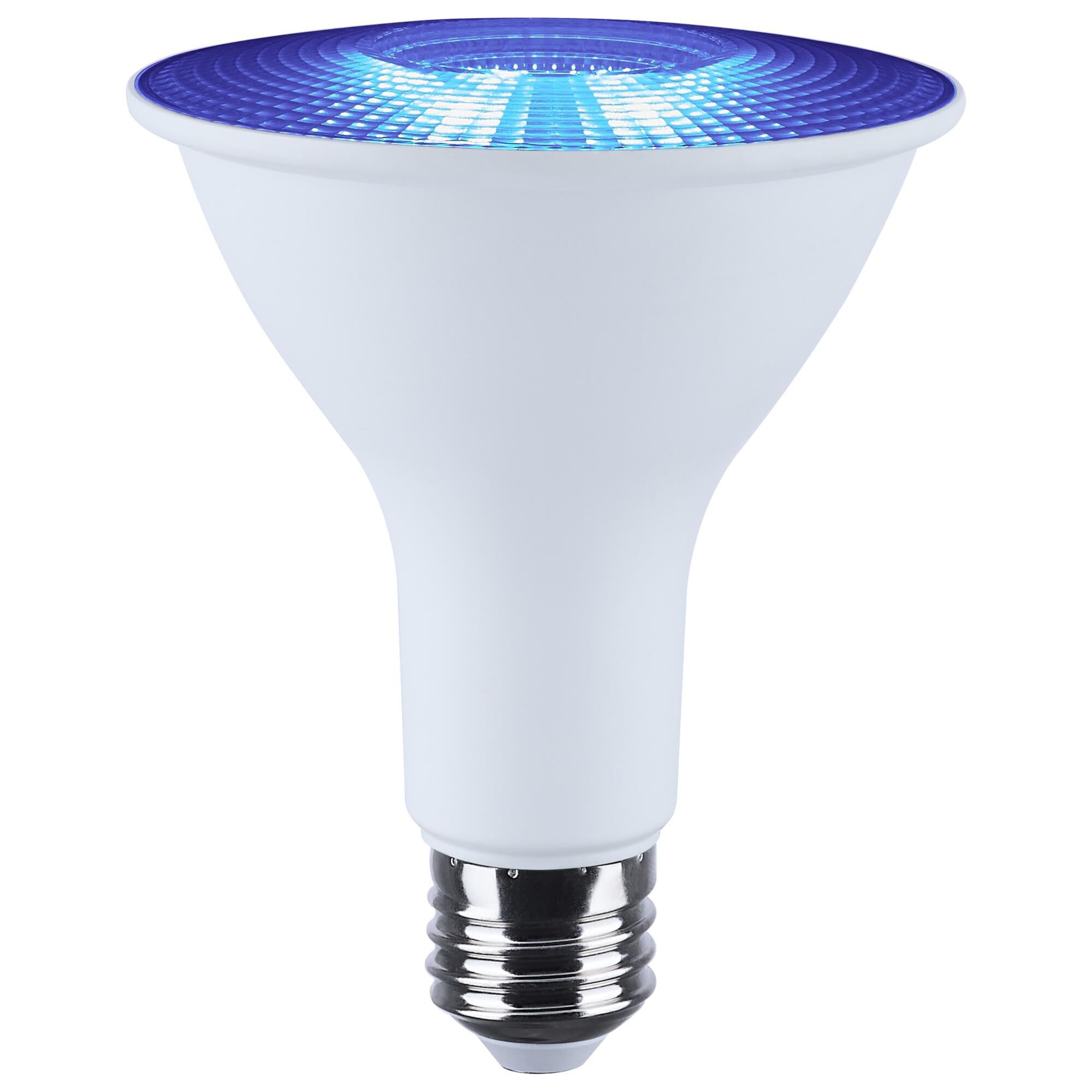 Dimmable 13 Watt 2700K LED Light Bulb by Satco