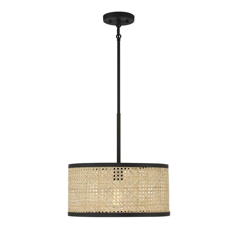 Meridian Lighting 16 Inch LED Large Pendant
