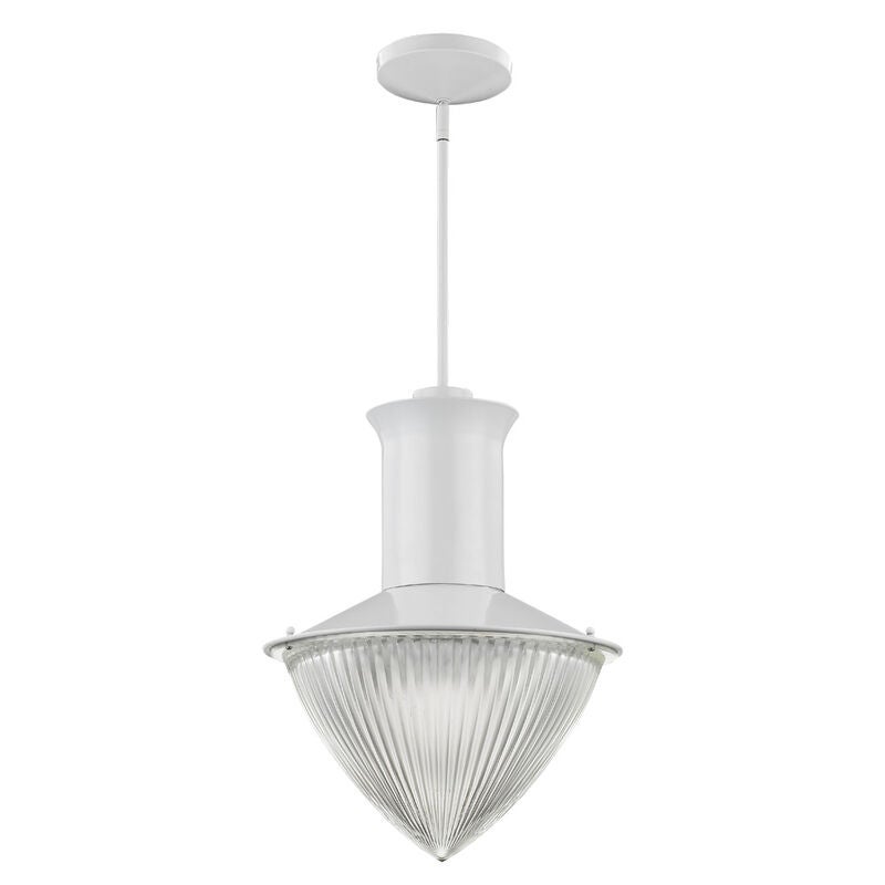 Acclaim Lighting Skylar 16 Inch Large Pendant