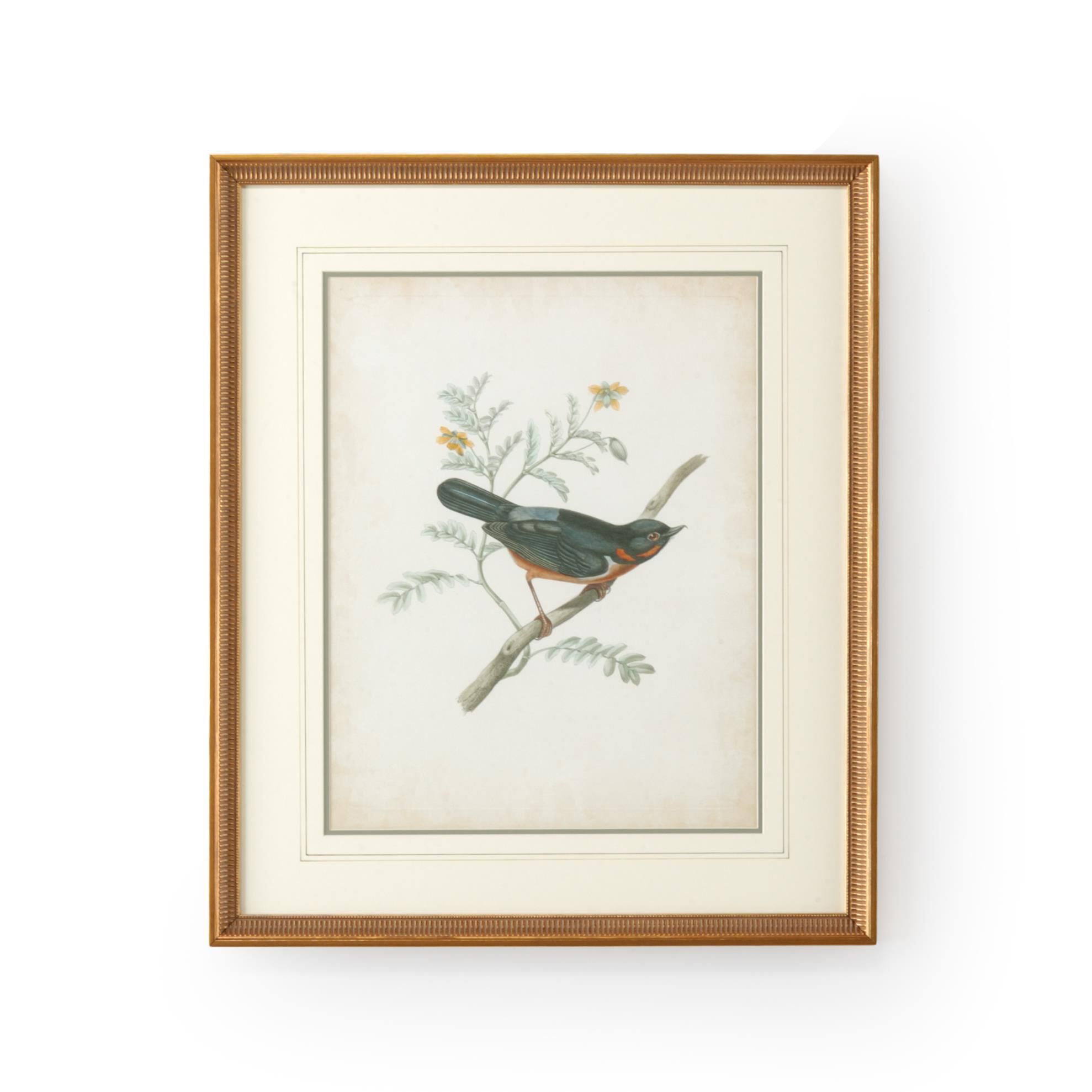 Delicate Birds Print by Chelsea House
