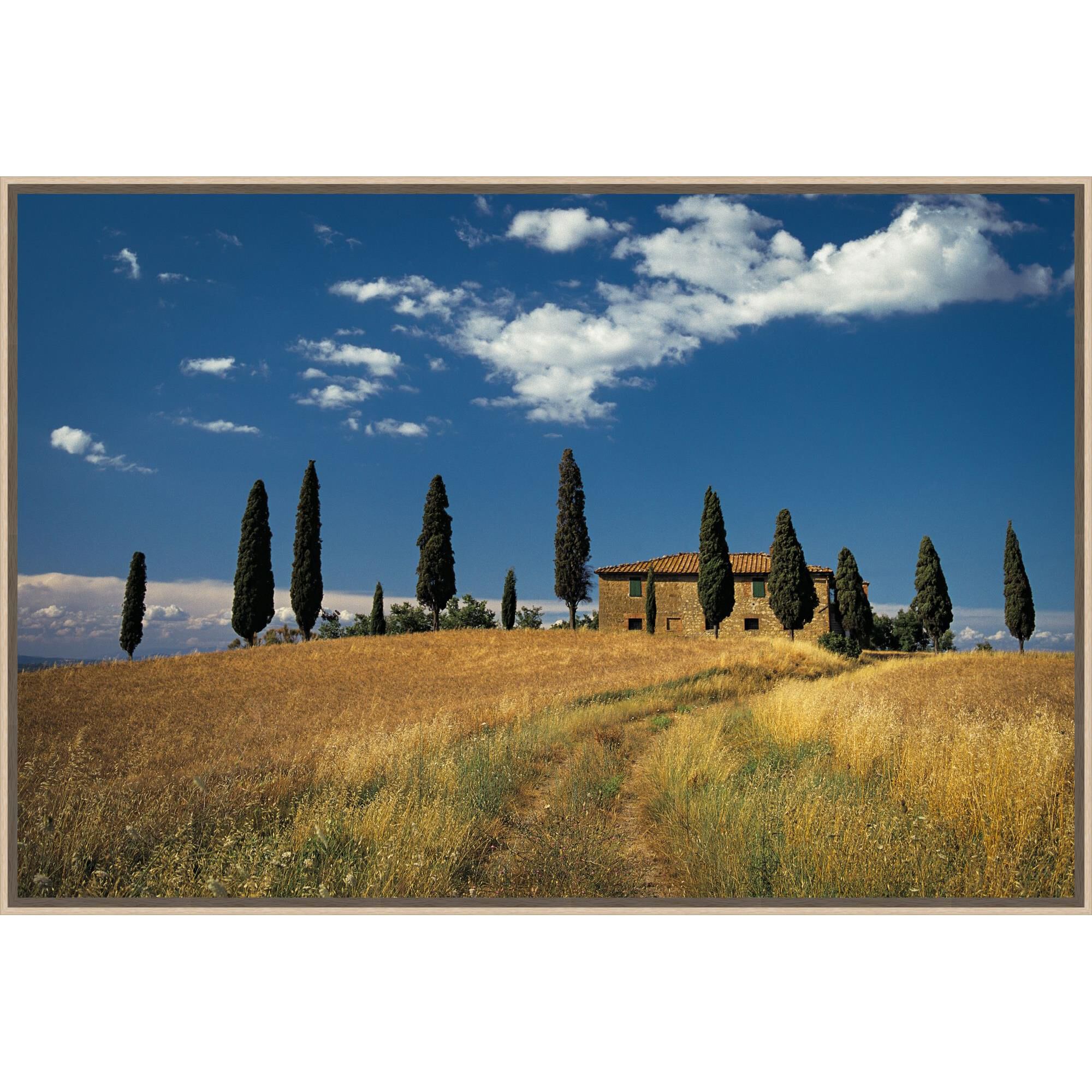 Ron Lake Hilltop Villa Print by LEVEL57