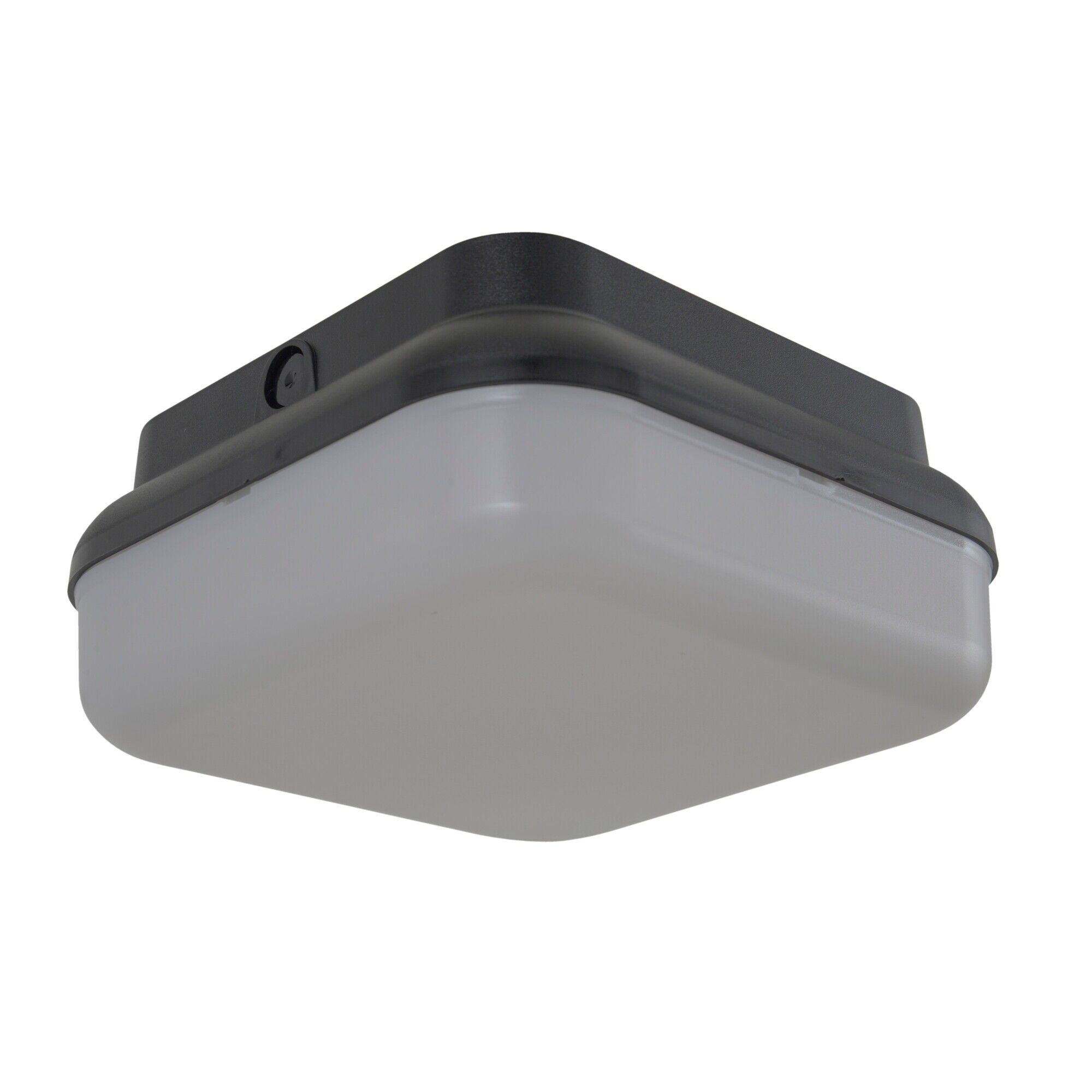 Resilience Lanterns 10 Inch Outdoor Flush Mount,