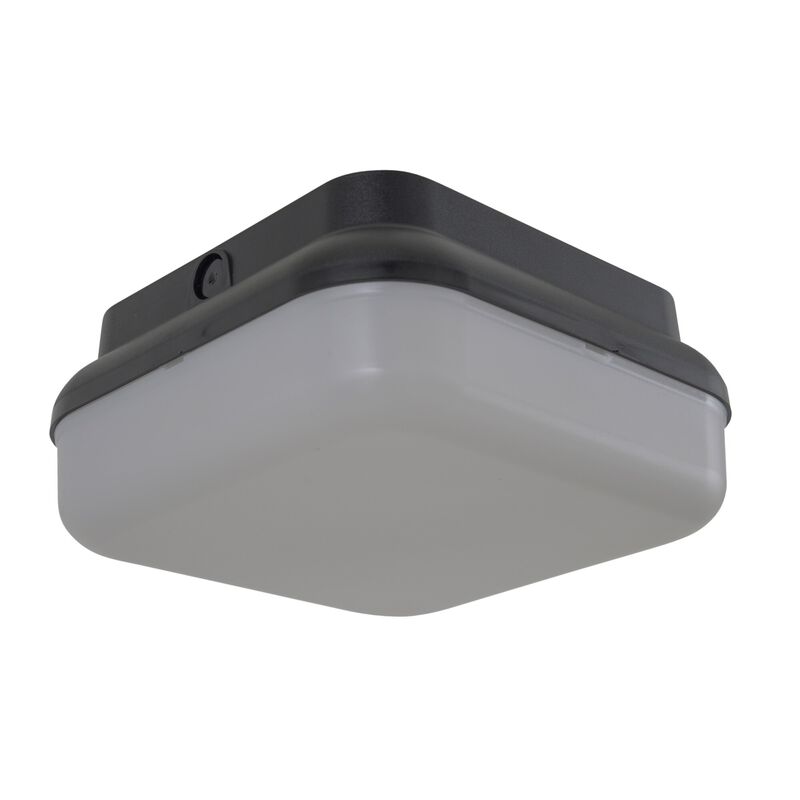 Resilience Lanterns 10 Inch Outdoor Flush Mount by Craftmade