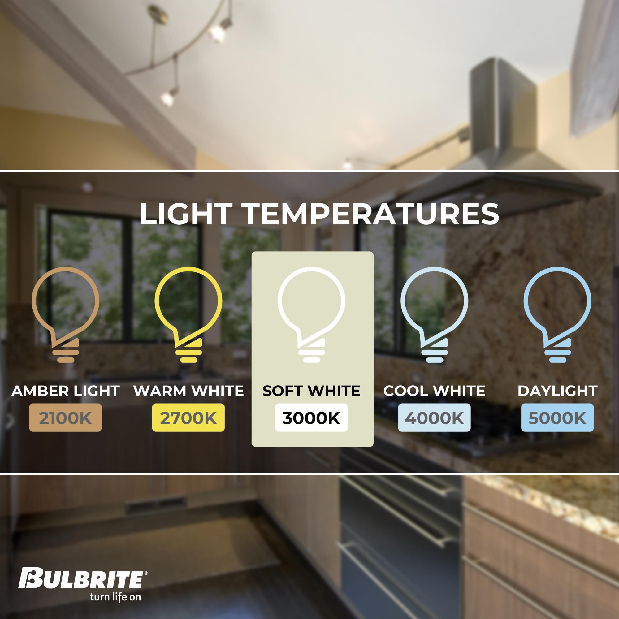 6.5 Watt 3000K MR16 LED Light Bulb by Bulbrite