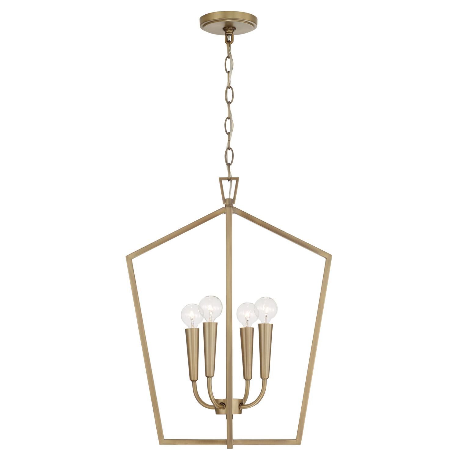 Holden 16 Inch Cage Pendant by Capital Lighting Fixture Company