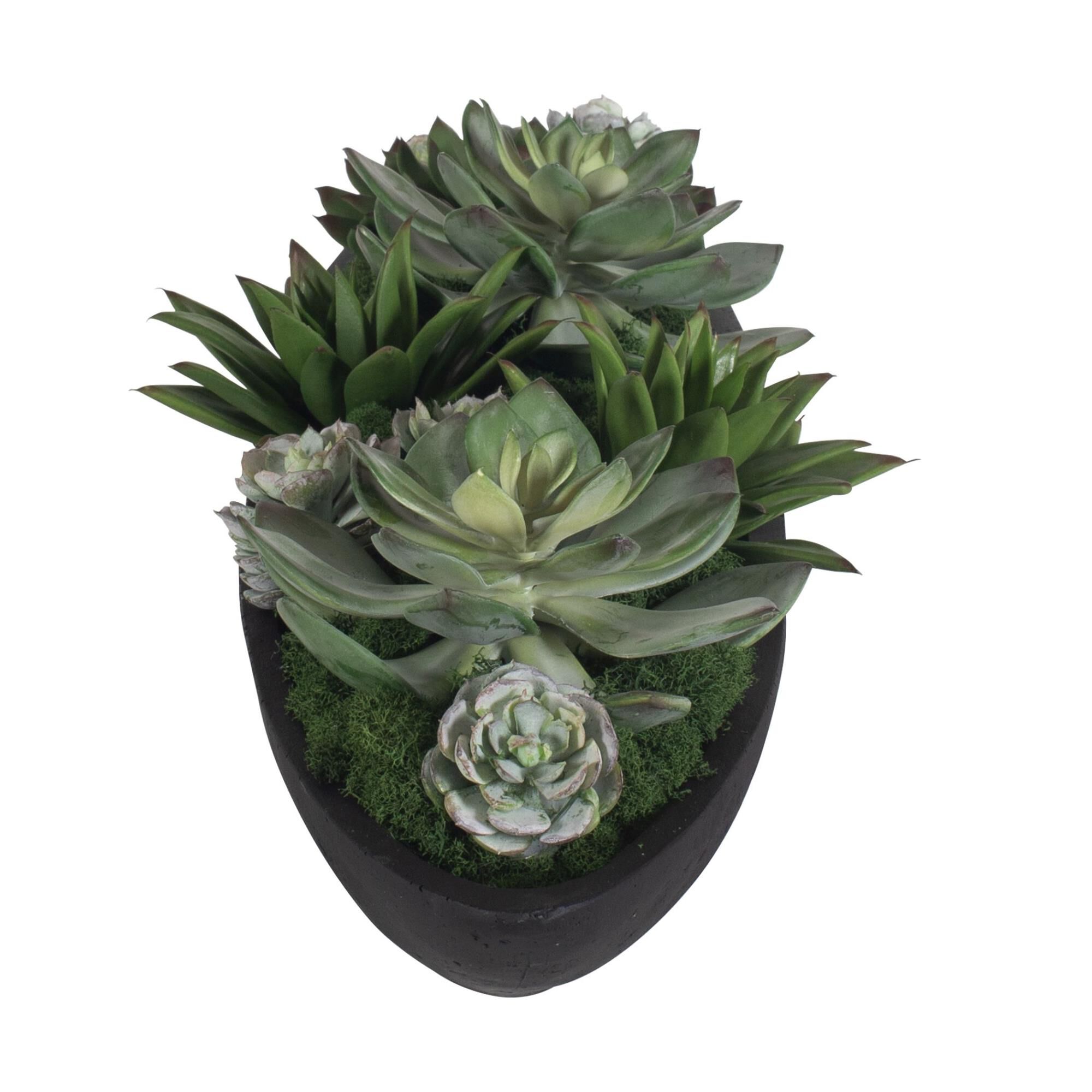 Verde Botanical by Uttermost