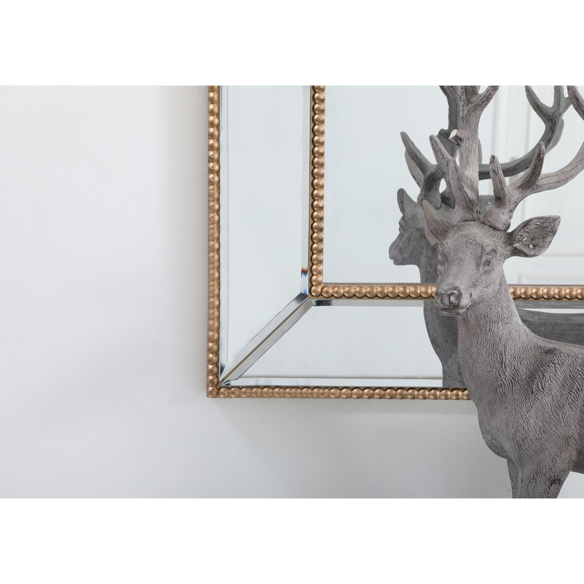 Iris Decorative Mirrors by Elegant Decor