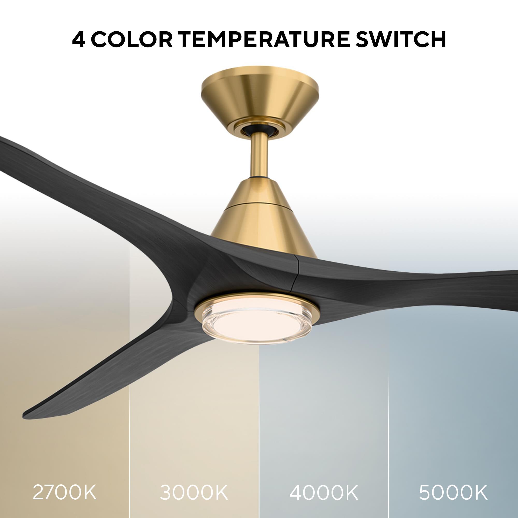 Carve 60 Inch Ceiling Fan with Light Kit by Modern Forms
